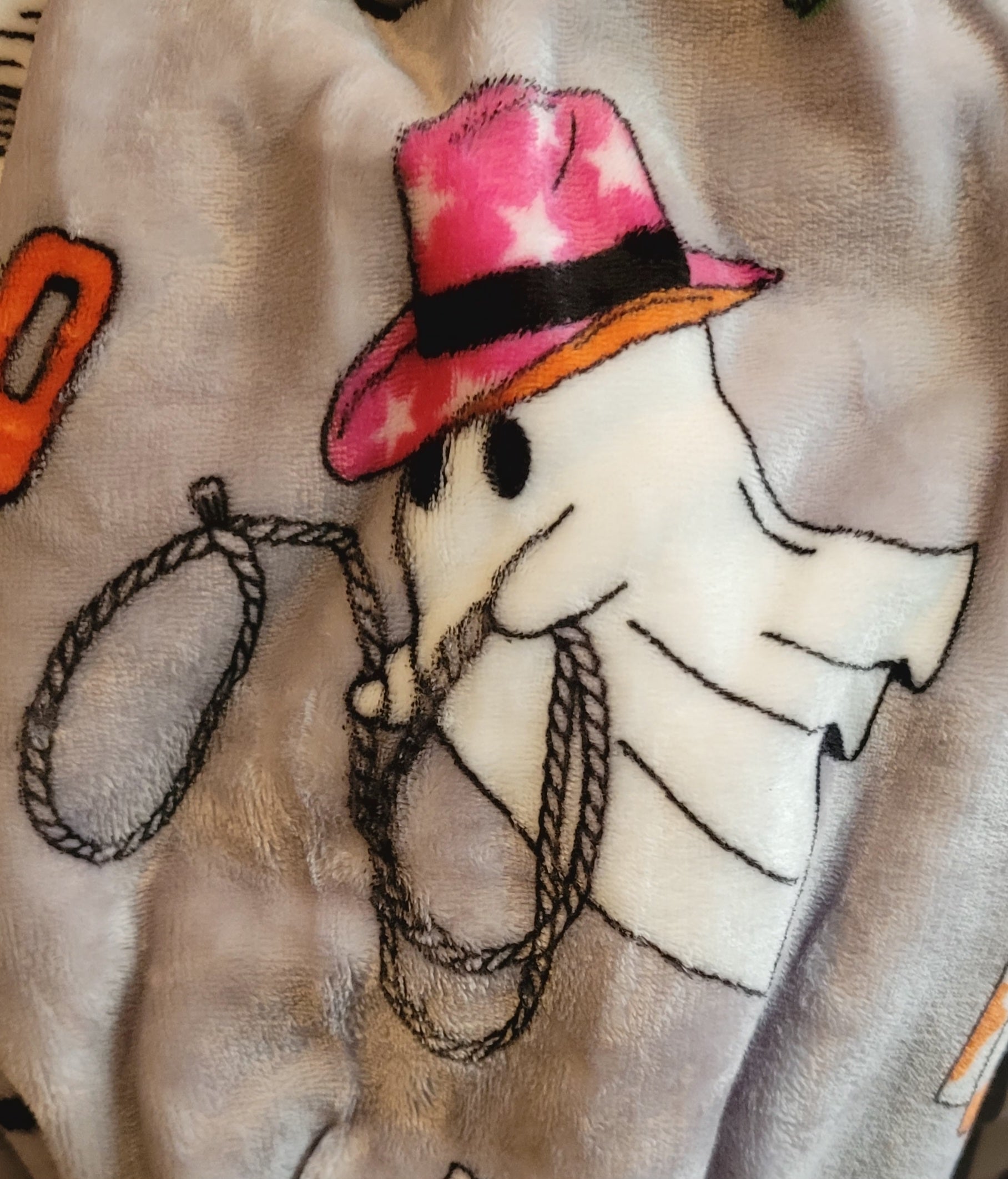 Graveyard Goods Plush Halloween Country western throw
